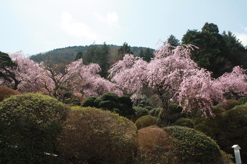 Hakone Kowakien Miyamafurin Hotel Exterior photo