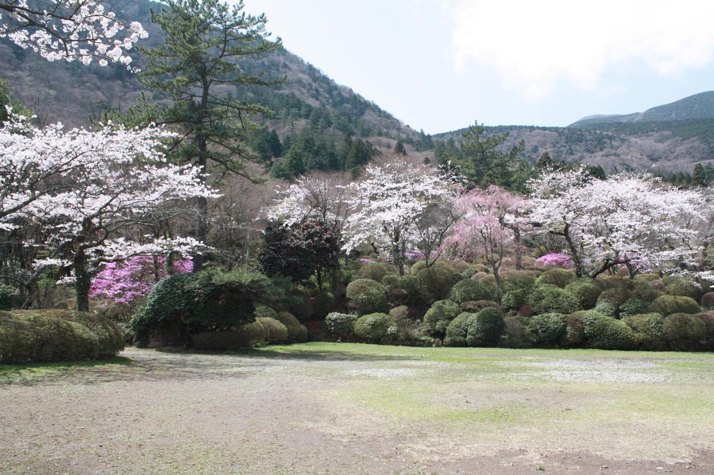 Hakone Kowakien Miyamafurin Hotel Exterior photo